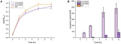 Metabolomics Analysis of the Toxic Effects of the Production of Lycopene and Its Precursors